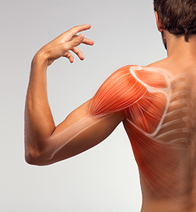 causes of shoulder pain in st petersburg