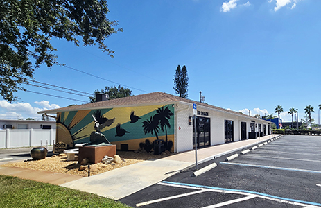 Chiropractic Care Clinic St. Pete